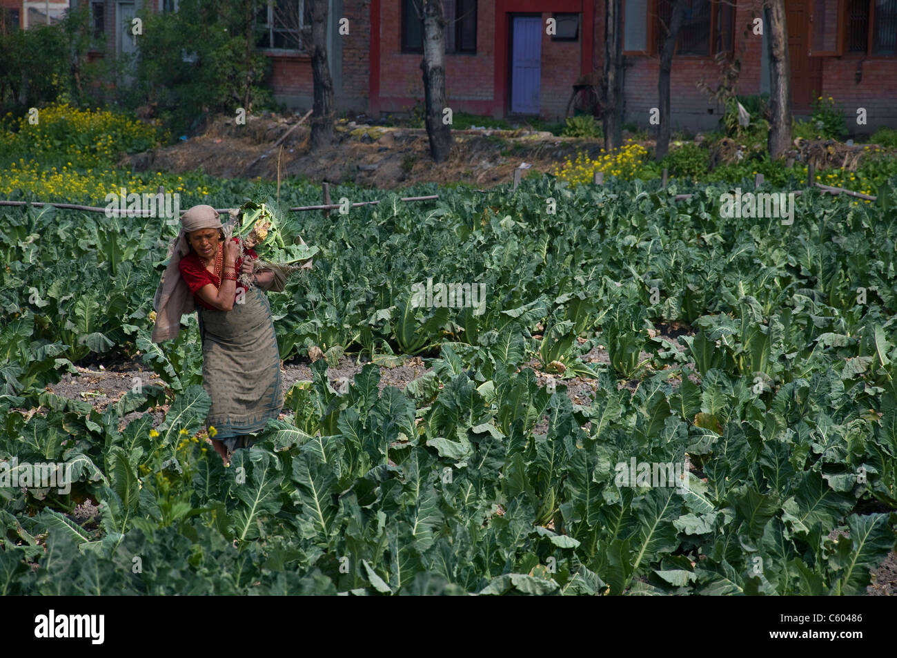Gender inequality work hi-res stock photography and images - Alamy