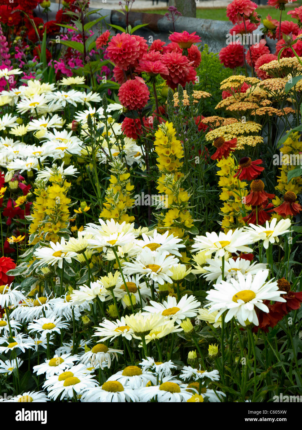 Mixed colourful flower border in a country garden in summer Stock Photo ...