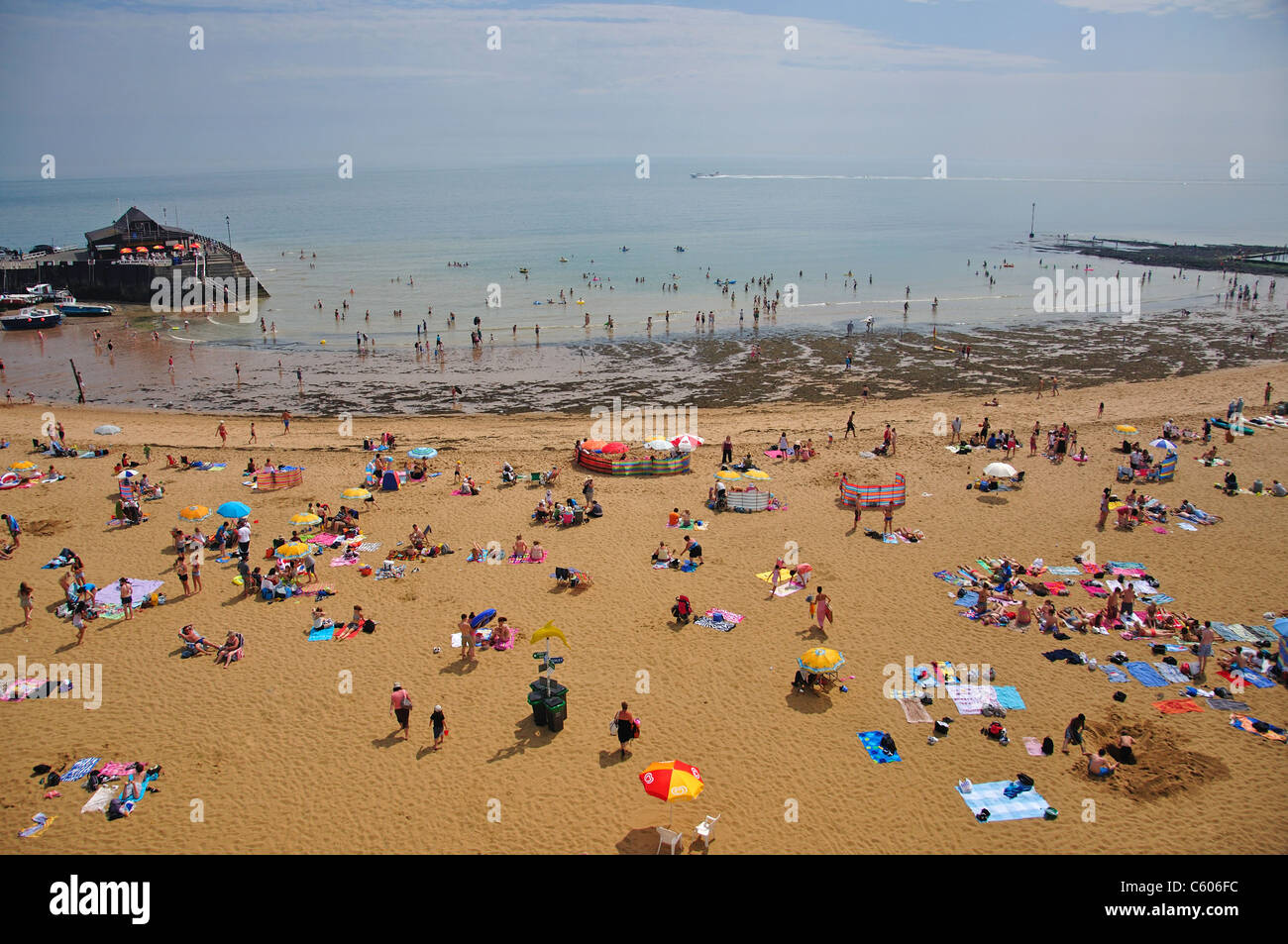 What Beaches Allow Dogs In