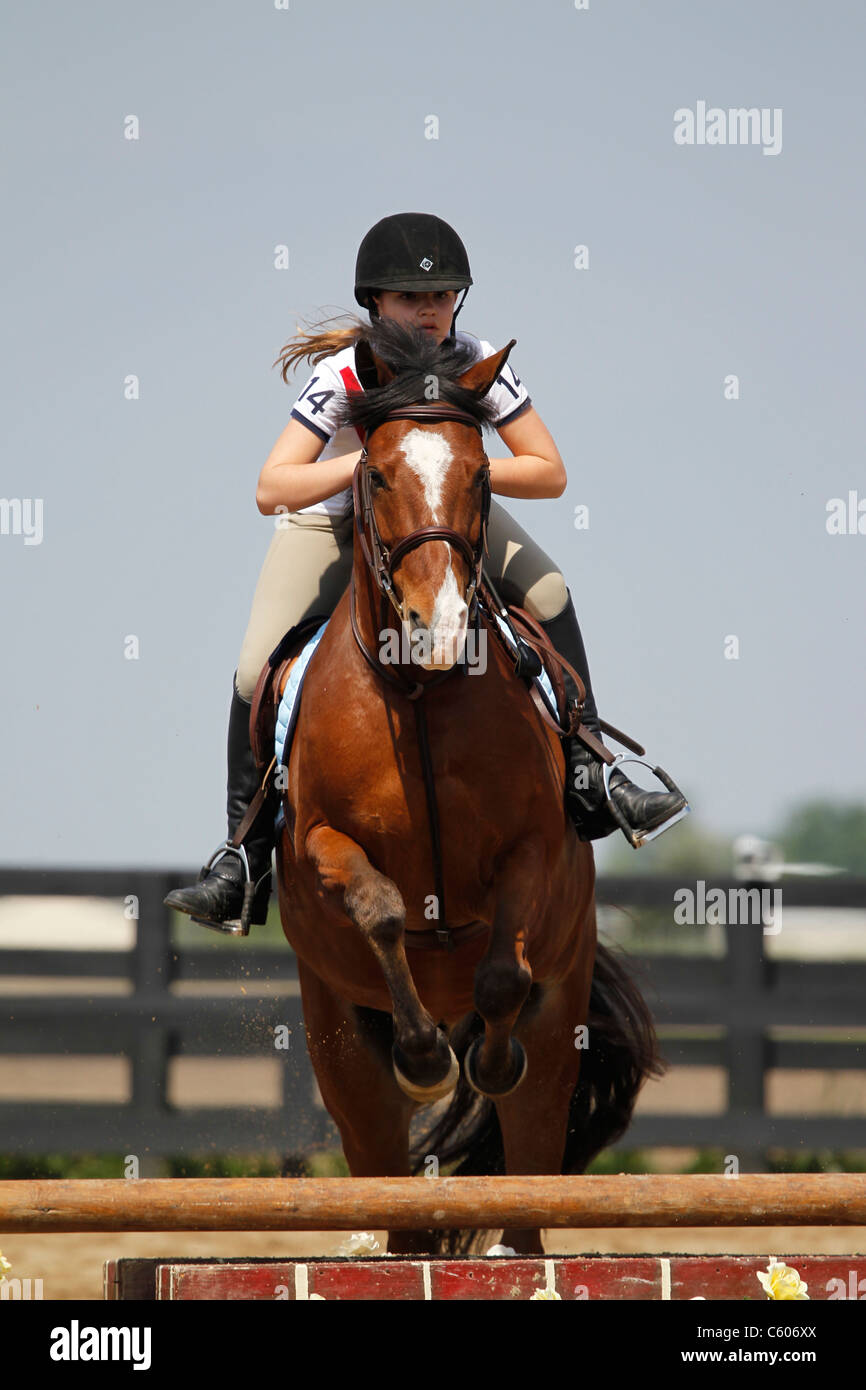 A horse and young rider jumping a fence during a horse show Stock Photo ...