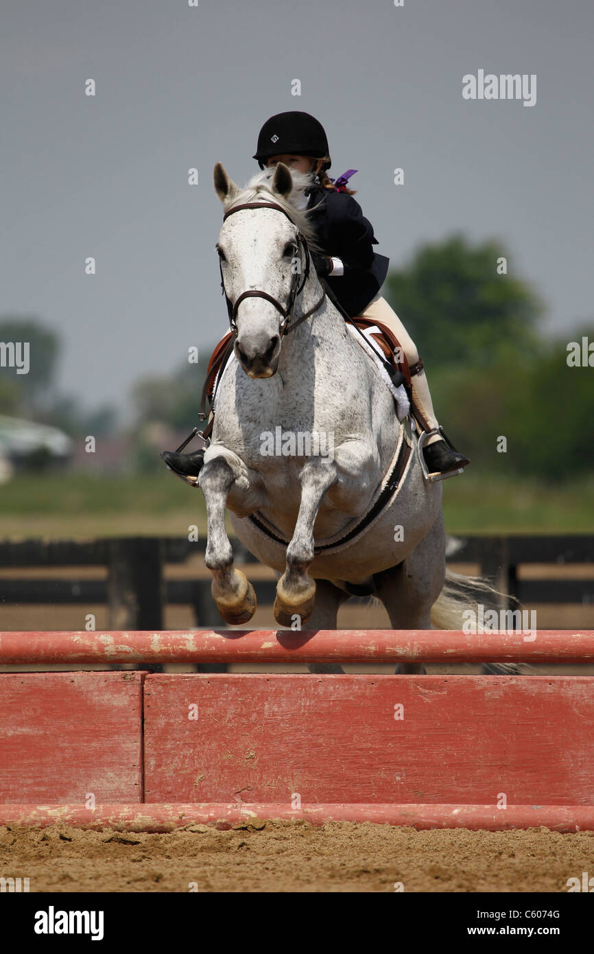 A horse and rider jumping a fence during a horse show Stock Photo - Alamy