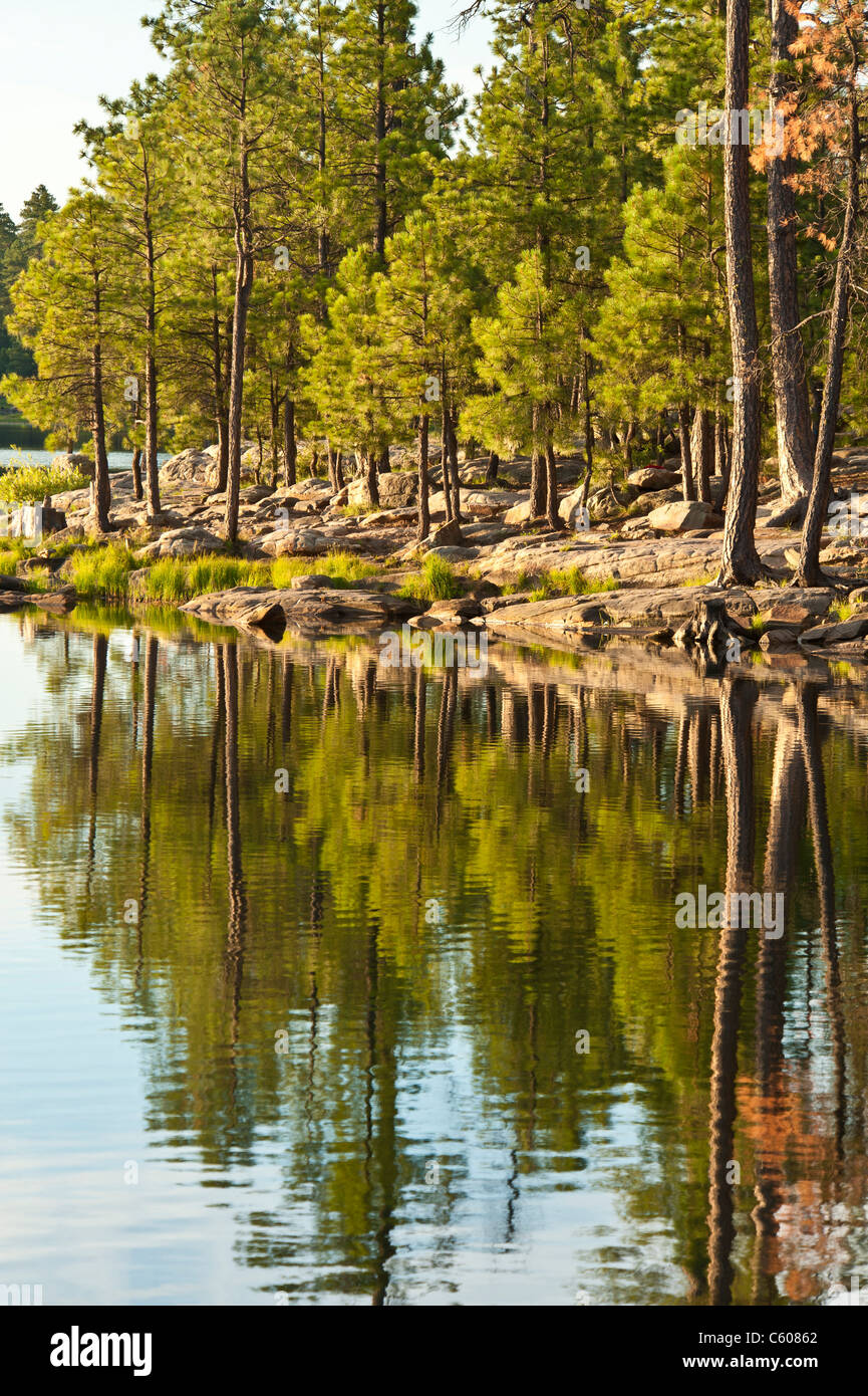 The beautiful Willow Springs Lake on the Mogollon Plateau is one of the ...