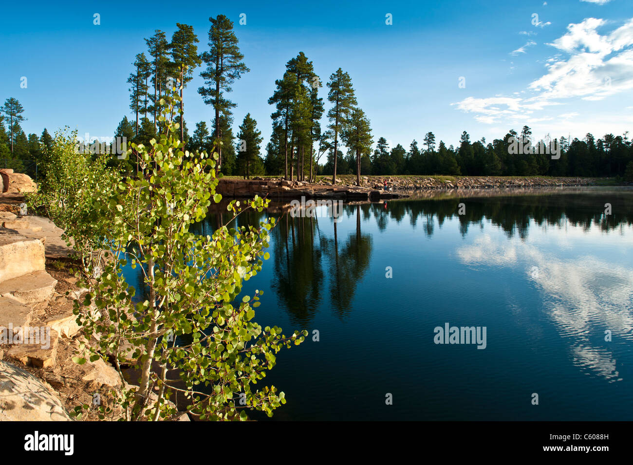The beautiful Willow Springs Lake on the Mogollon Plateau is one of the most scenic and best