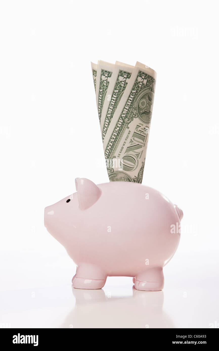 Pink Piggybank Stuffed With Dollar Bills Stock Photo - Download Image Now - Piggy  Bank, Savings, Currency - iStock