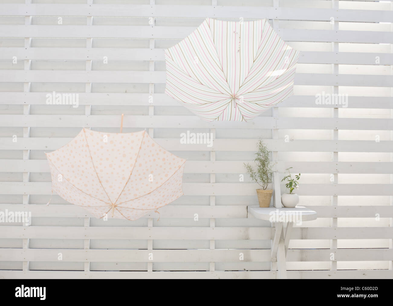 Umbrellas hanging on clothesline Stock Photo Alamy