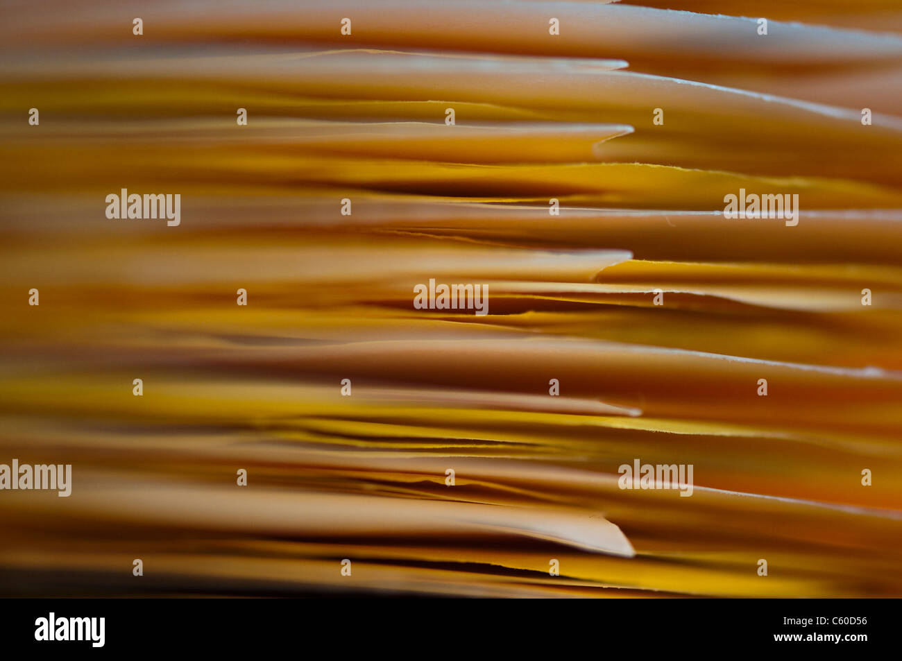 File index tabs Stock Photo Alamy