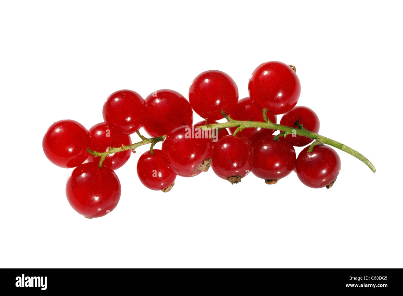 Redcurrants Stock Photo
