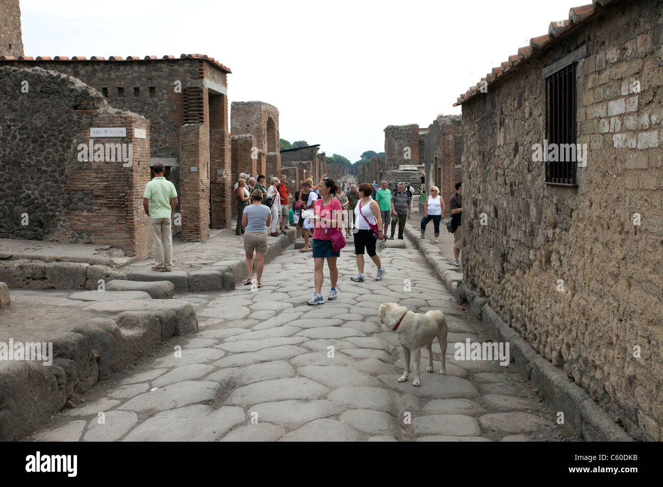 Pompeii Italy ruins of ancient city after the destruction by eruption of Mount Vesuvius volcano.  Tourists exploring with dog. Stock Photo