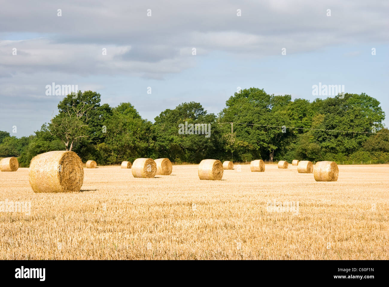 Reels straw hay hi-res stock photography and images - Alamy