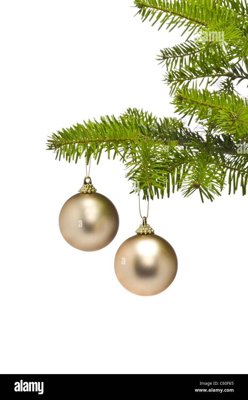decoration bauble in real Christmas tree branch Stock Photo Alamy