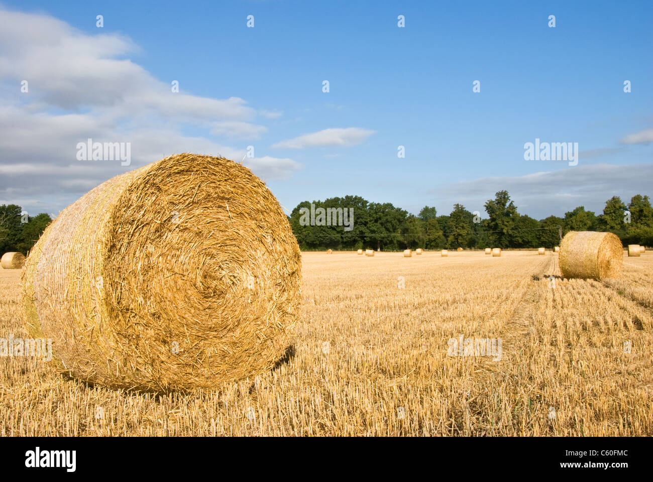 Reels straw hay hi-res stock photography and images - Alamy