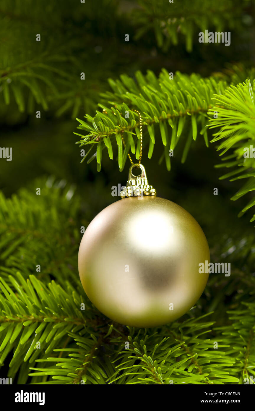 decoration bauble in real Christmas tree branch Stock Photo Alamy