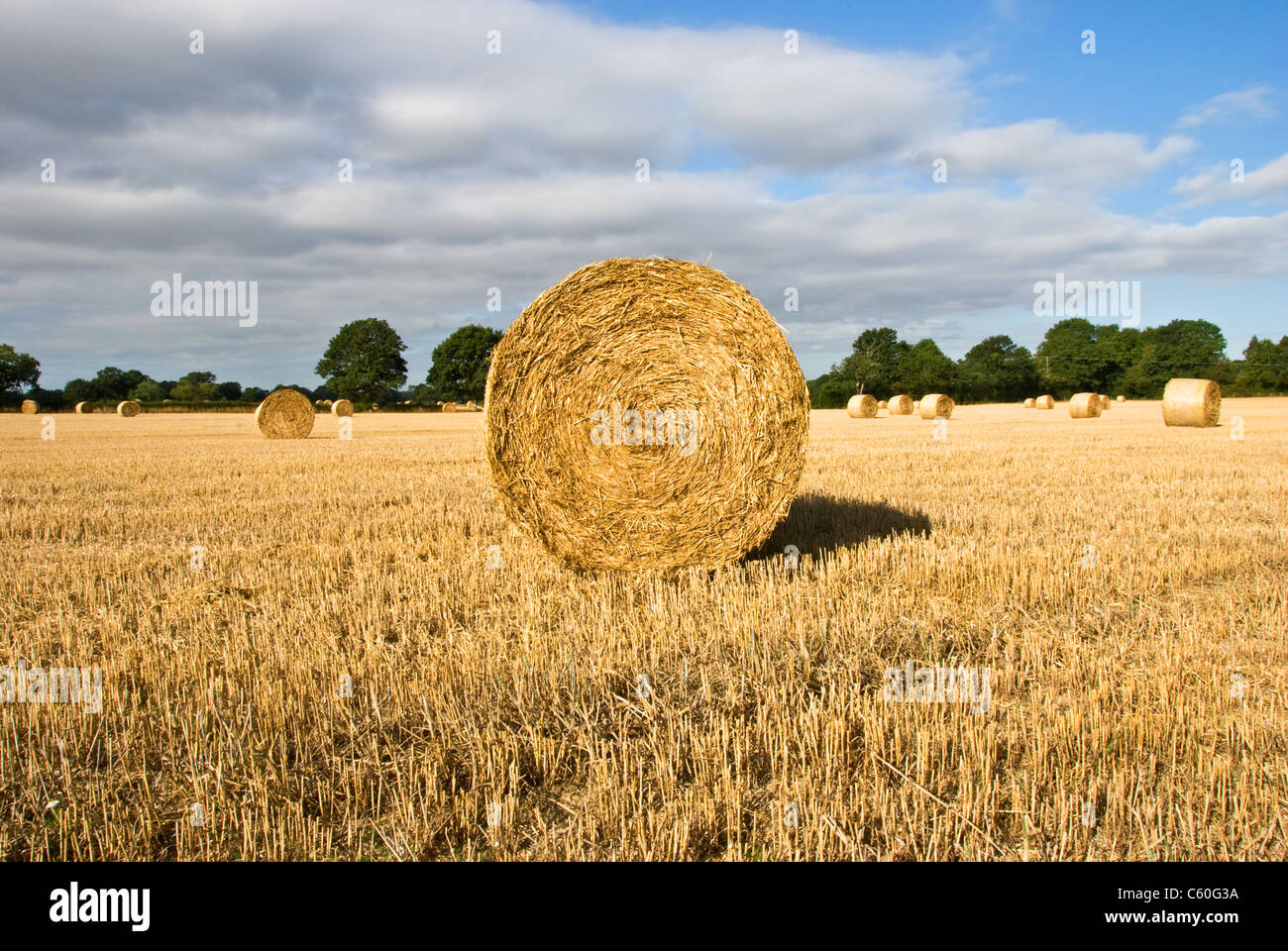 Reels straw hay hi-res stock photography and images - Alamy