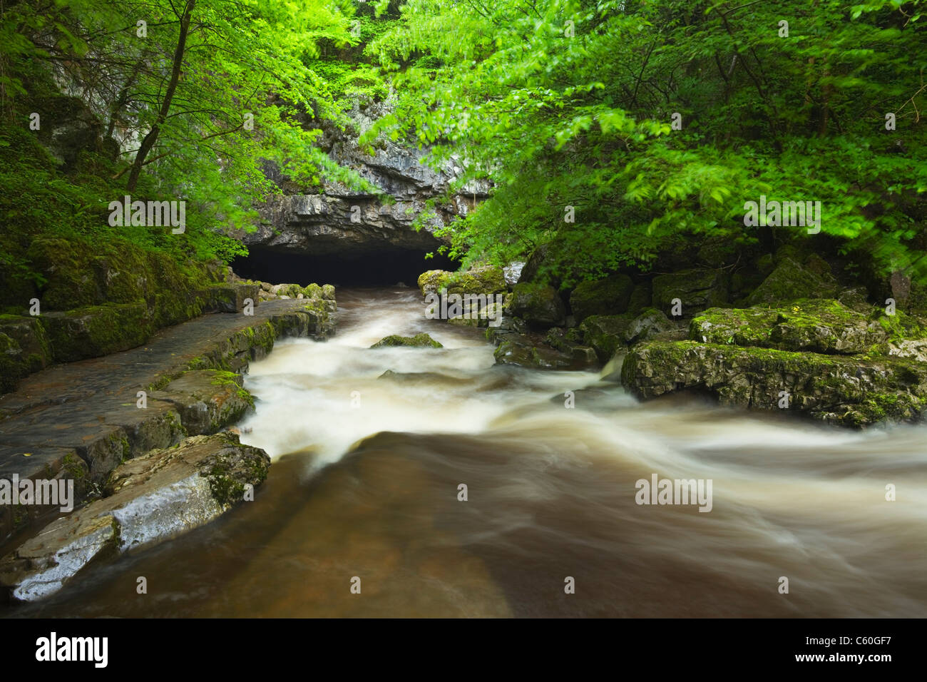 River Mellte flowing into Porth yr Ogof Cave Near Ystradfellte. Brecon Beacons National Park. Powys. Wales. UK. Stock Photo