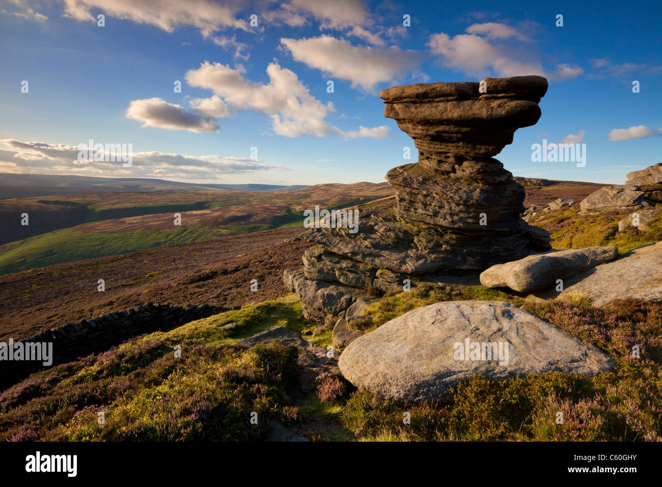 Heather moorland on Whinstone lee tor Derwent edge Derbyshire Peak
