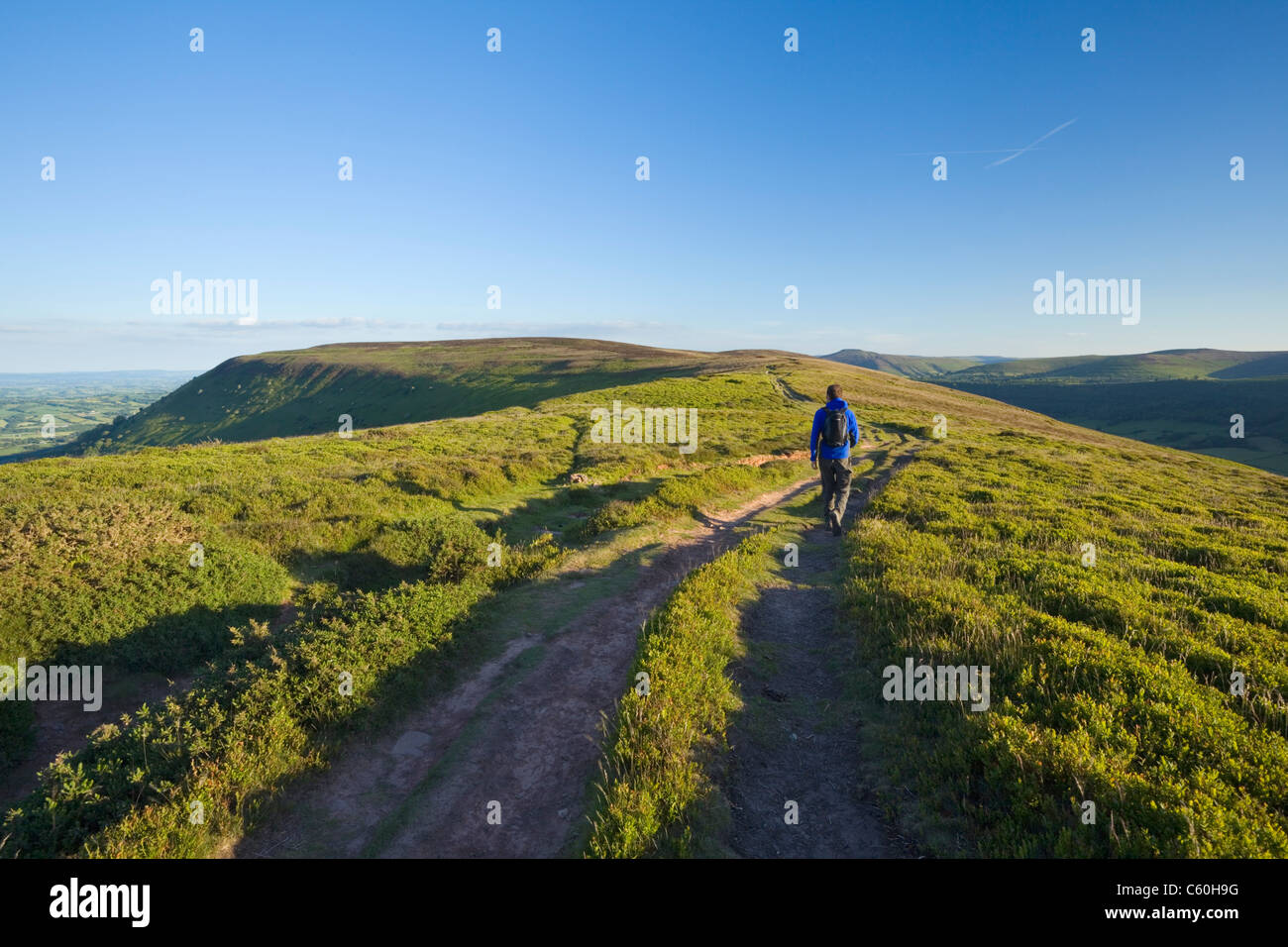 Walker on the Offa's Dyke Path on Hatterrall Ridge near Llanthony. The Black Mountains. Brecon Beacons. Powys. Wales. UK. Stock Photo