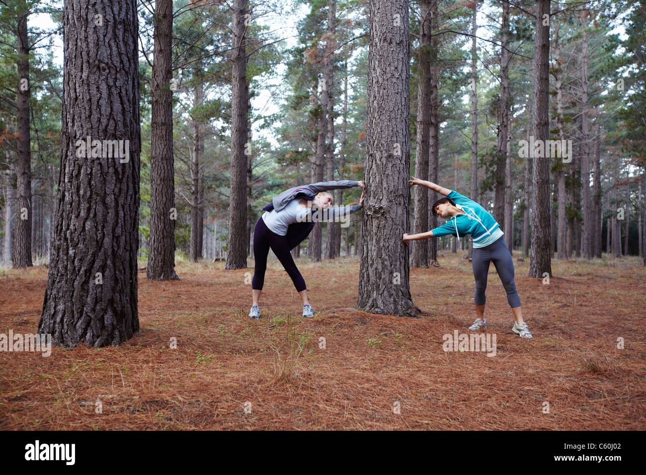 Runners stretching in forest Stock Photo