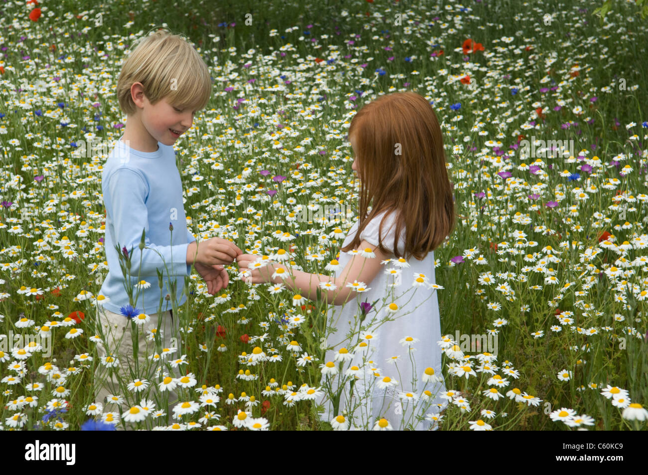 Children playing in field of flowers Stock Photo - Alamy
