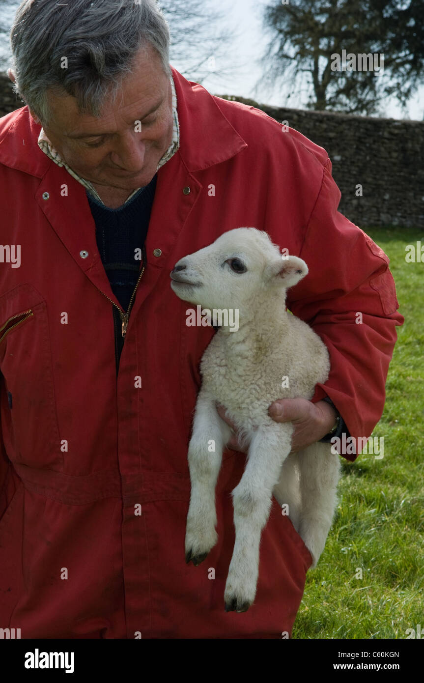 Farmer holding lamb hires stock photography and images Alamy