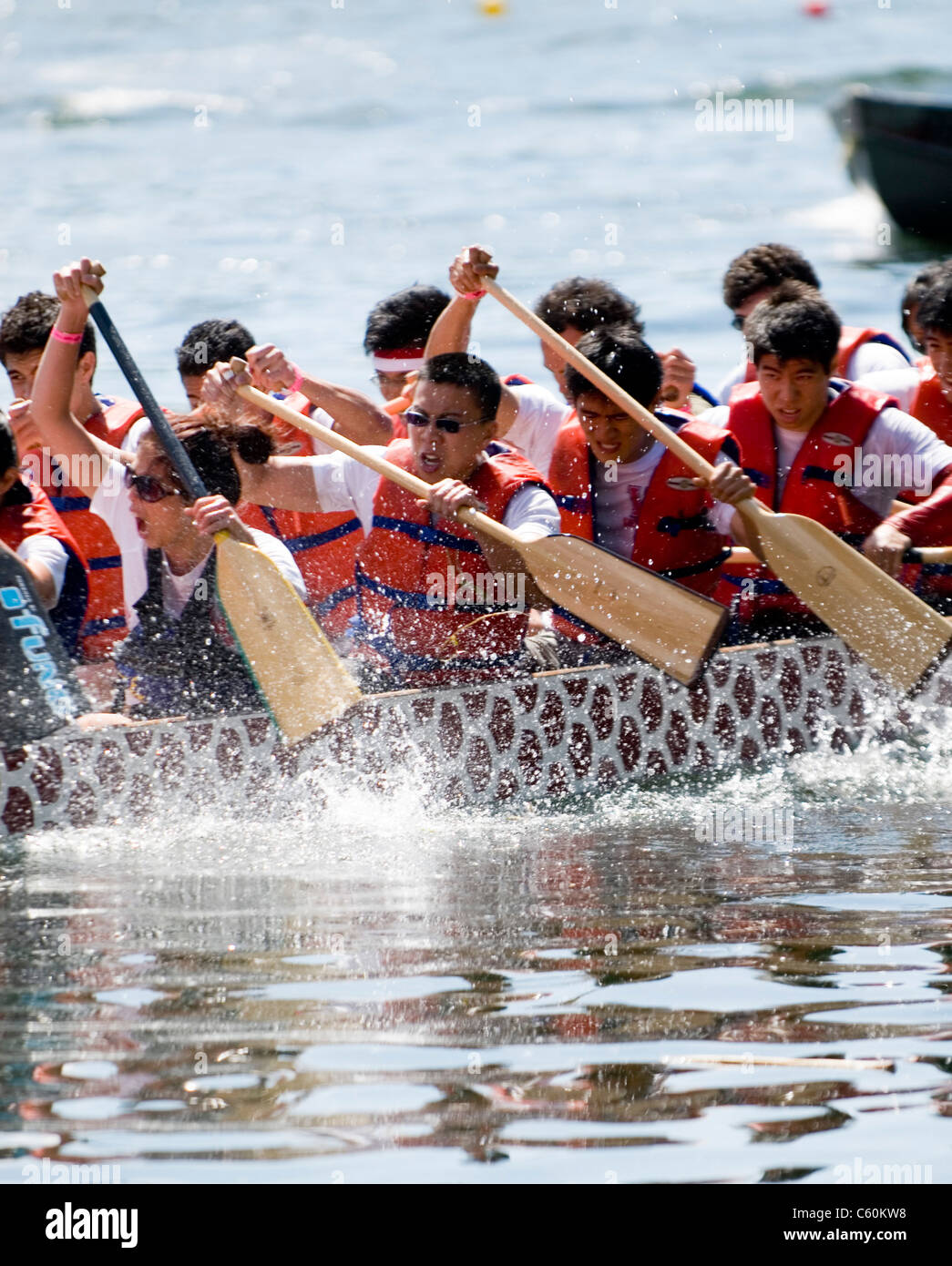 University of Toronto's Victoria College Paddling Club Dragon Boat