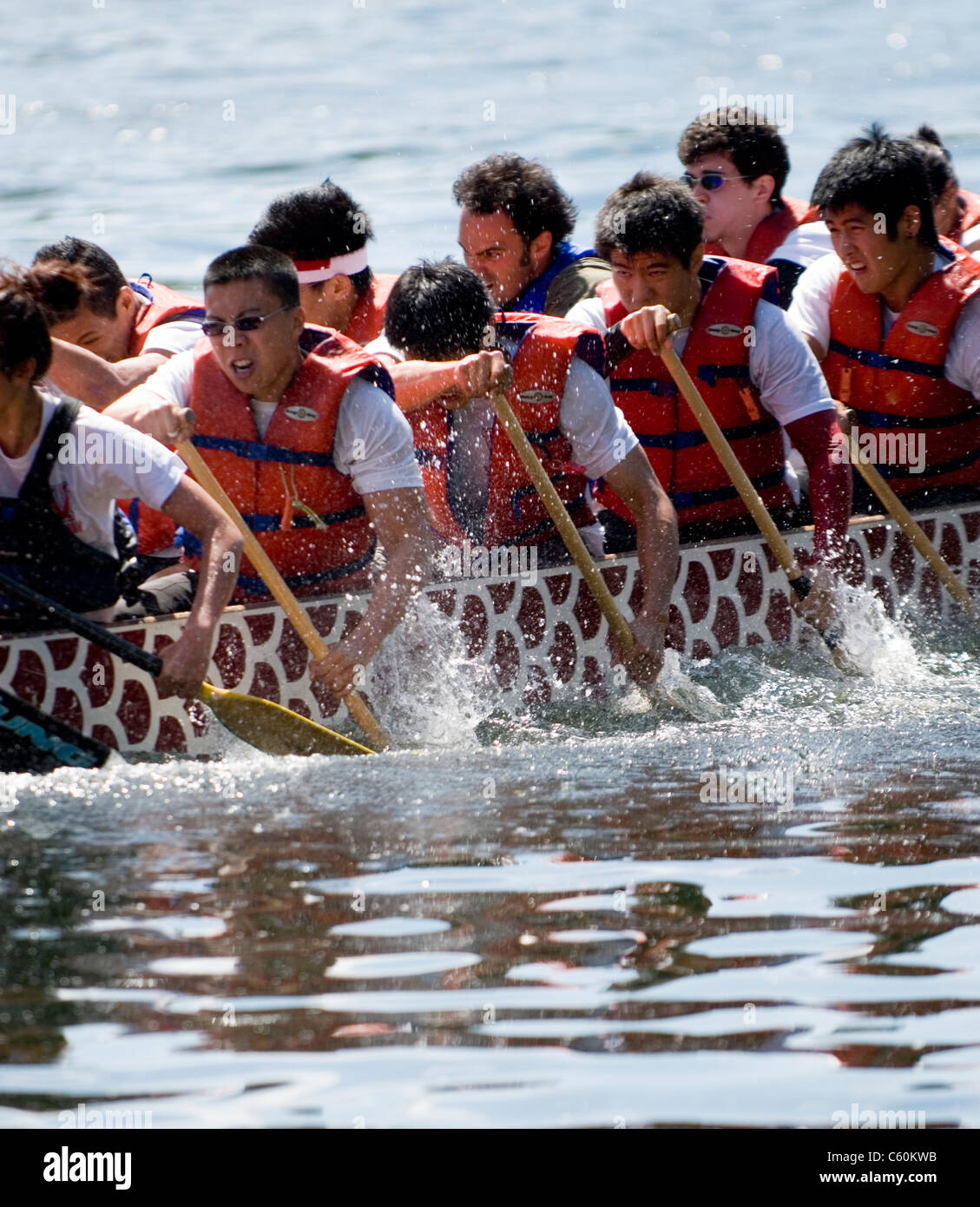 University of Toronto's Victoria College Paddling Club Dragon Boat