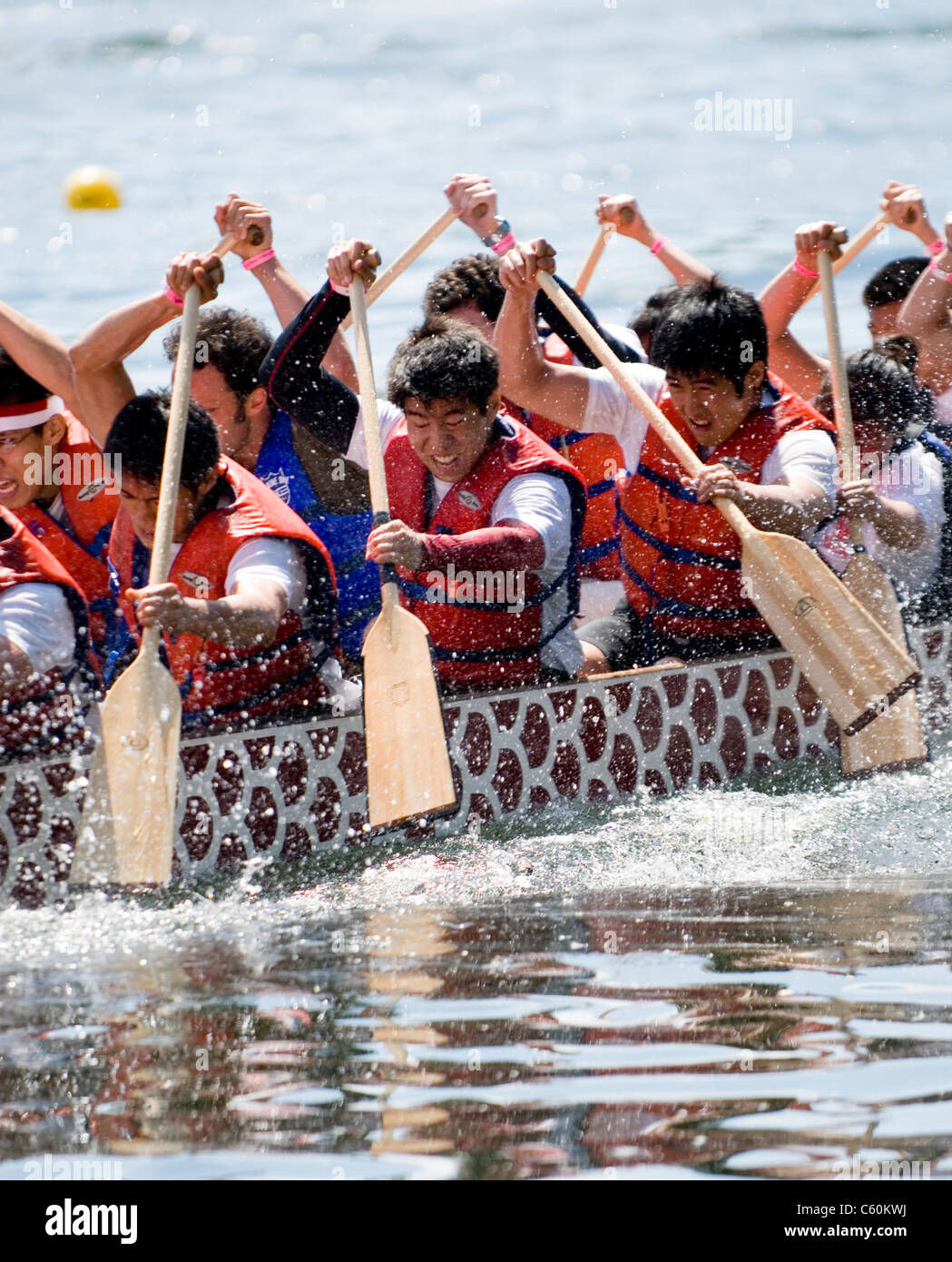 University of Toronto's Victoria College Paddling Club Dragon Boat