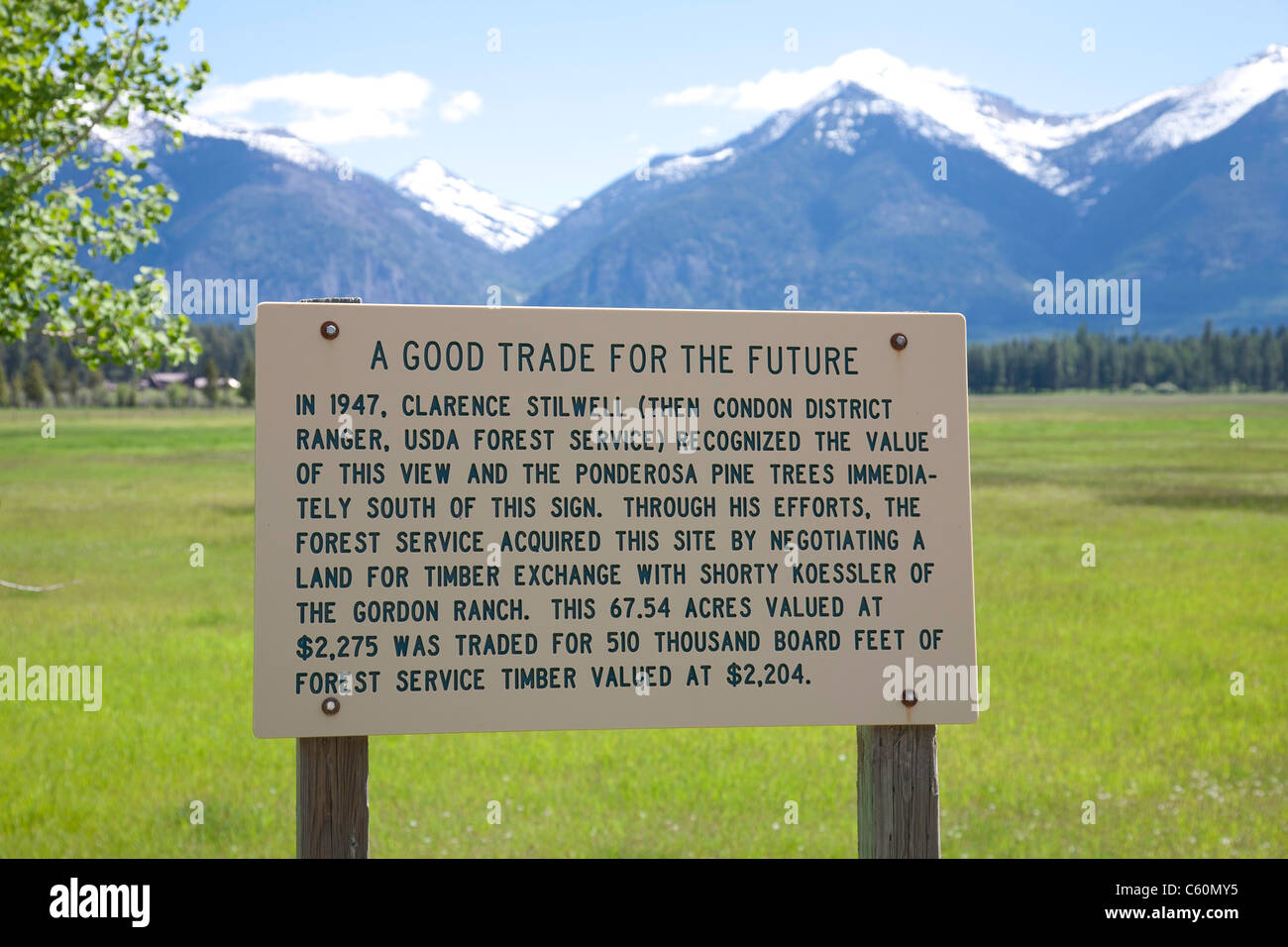 Historical Marker, Swan Valley and Mountains, Rte 83, MT Stock Photo