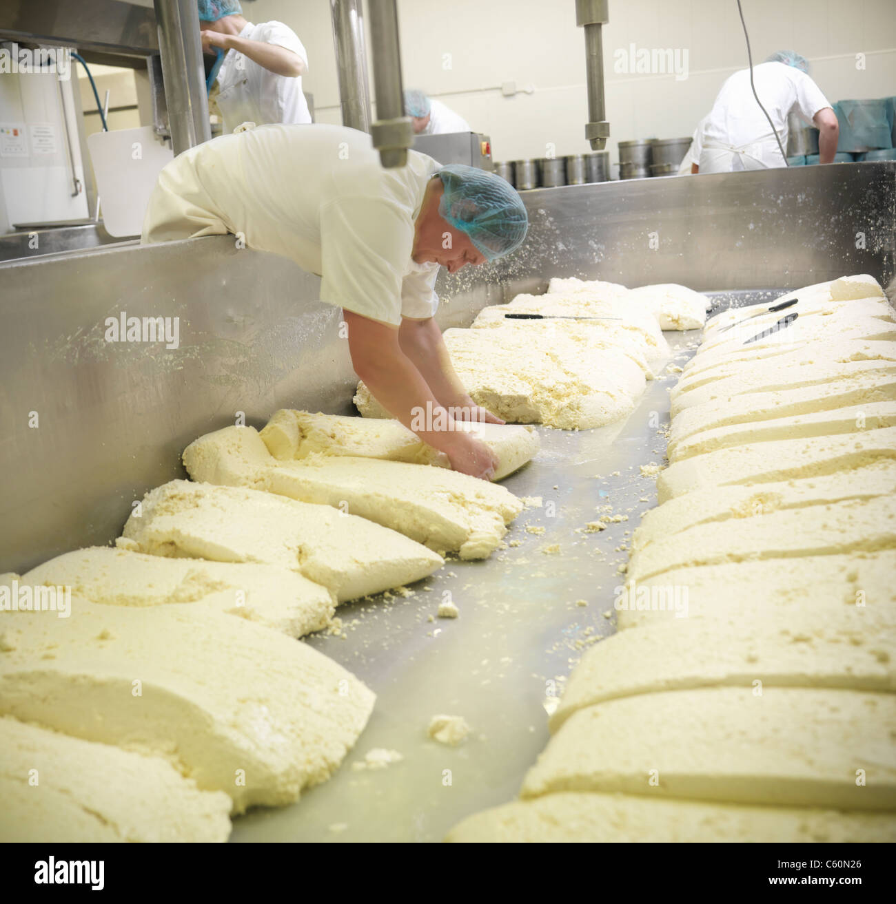 Making of cheese with curd hires stock photography and images Alamy