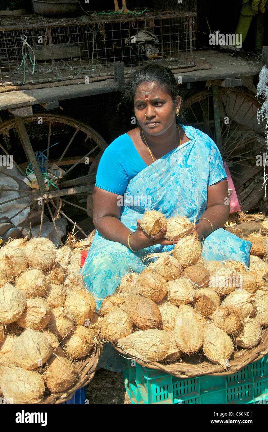 Woman selling coconuts fruit and vegetable market Tamil Nadu South