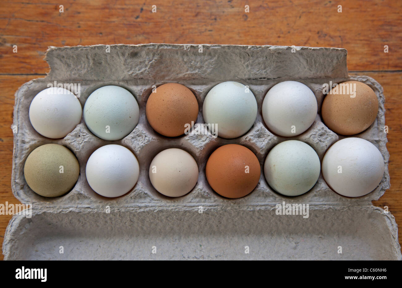 a dozen handpicked farm fresh organic eggs of different colors Stock Photo