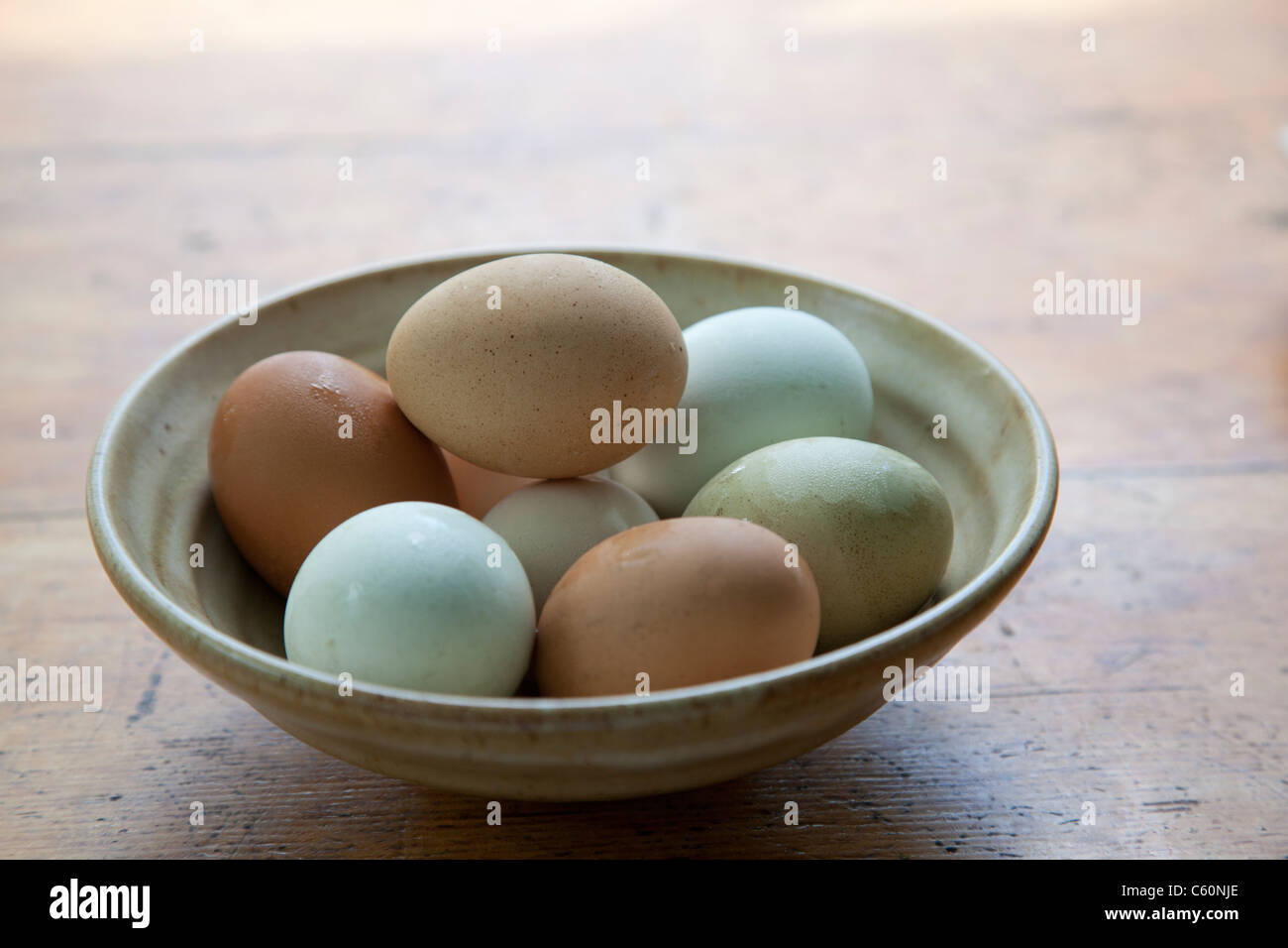 variety of different colored farm fresh eggs in a bowl Stock Photo