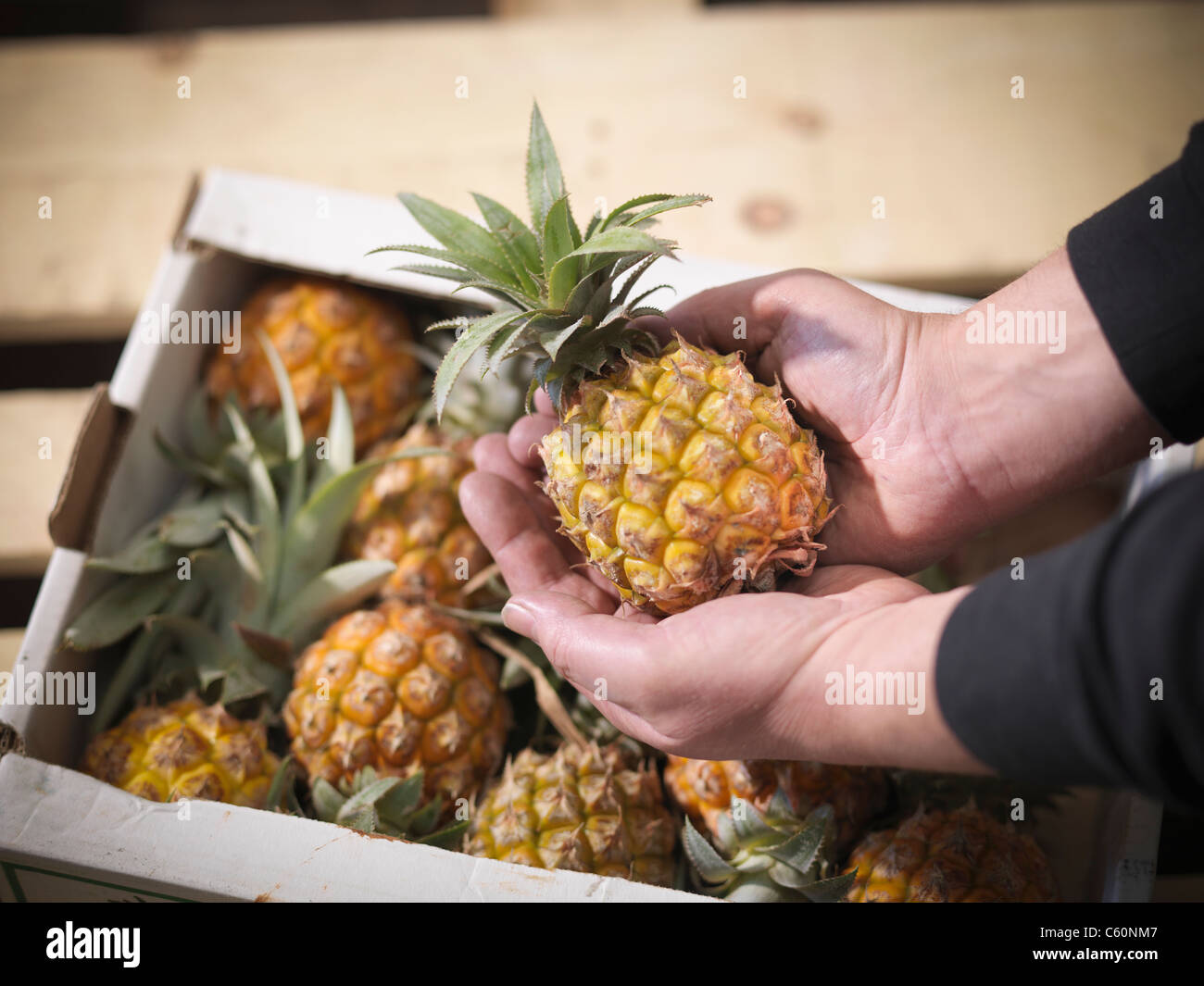 Man Holding Pineapple High Resolution Stock Photography and Images Alamy