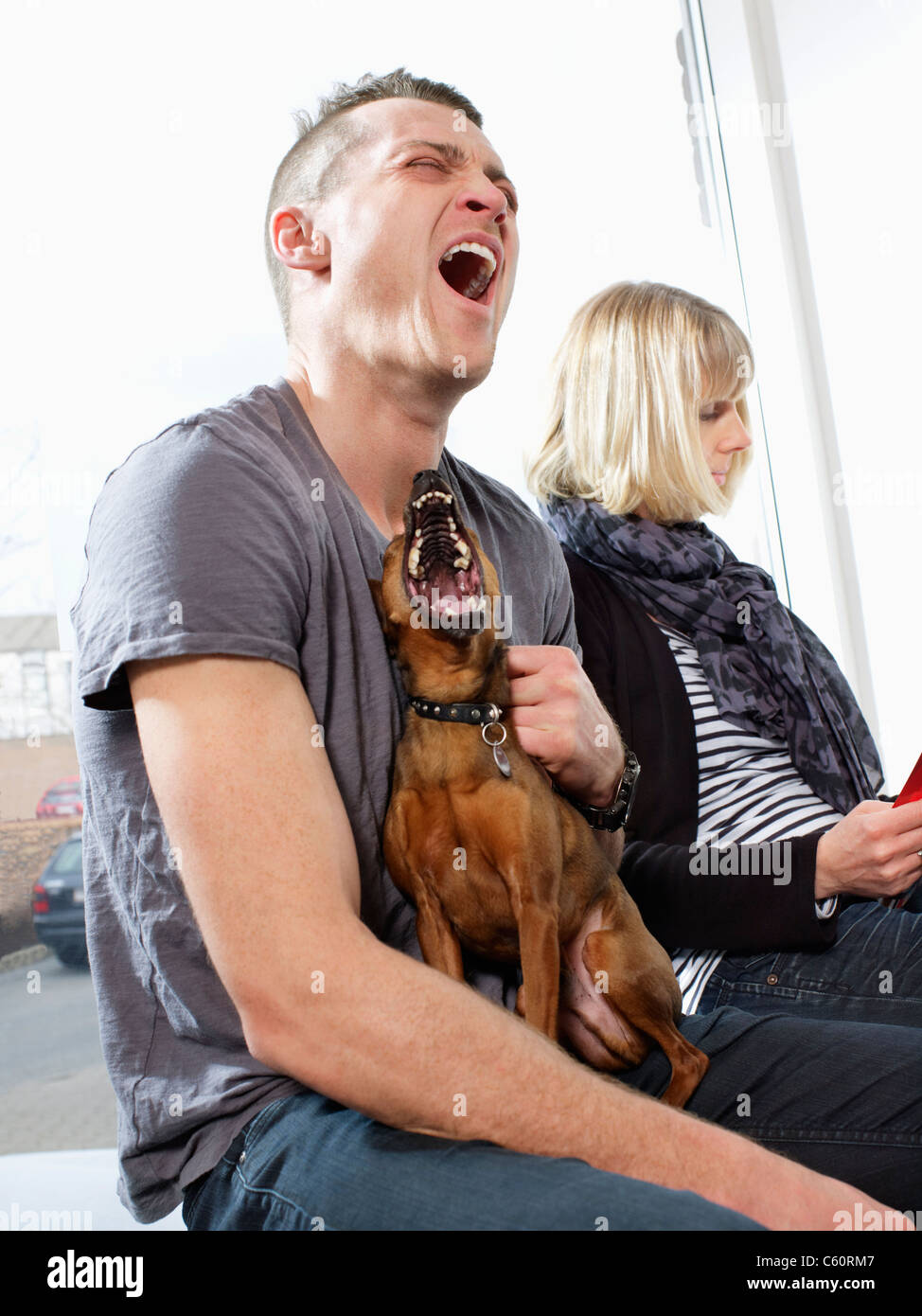 Man and dog howling together Stock Photo Alamy