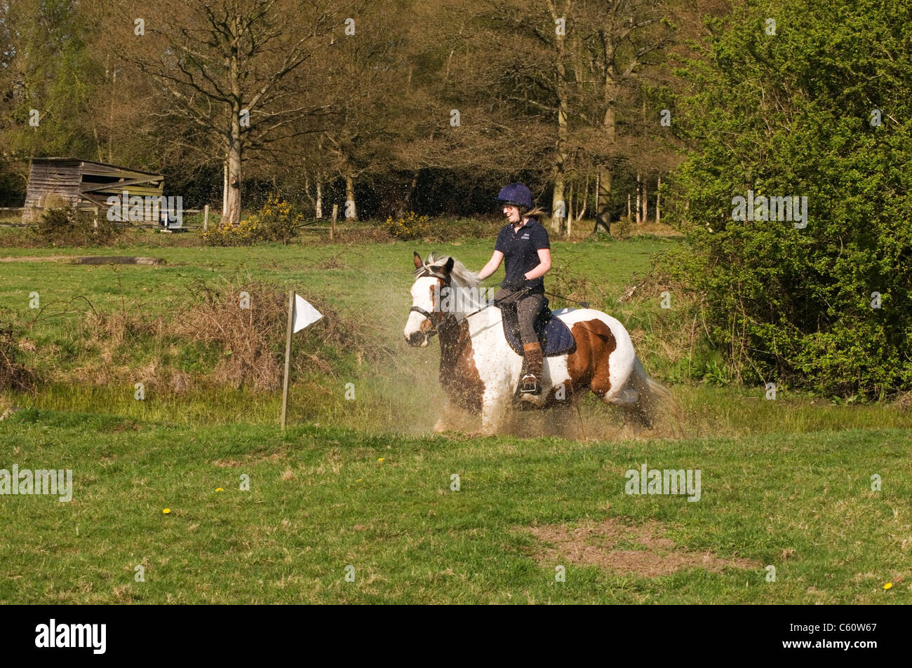 Horse and Rider Cross Country Event Chobham Surrey England UK Stock