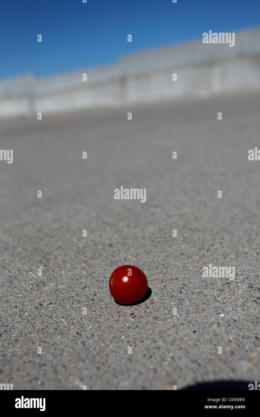 Cherry tomato on cement paving. Stock Photo