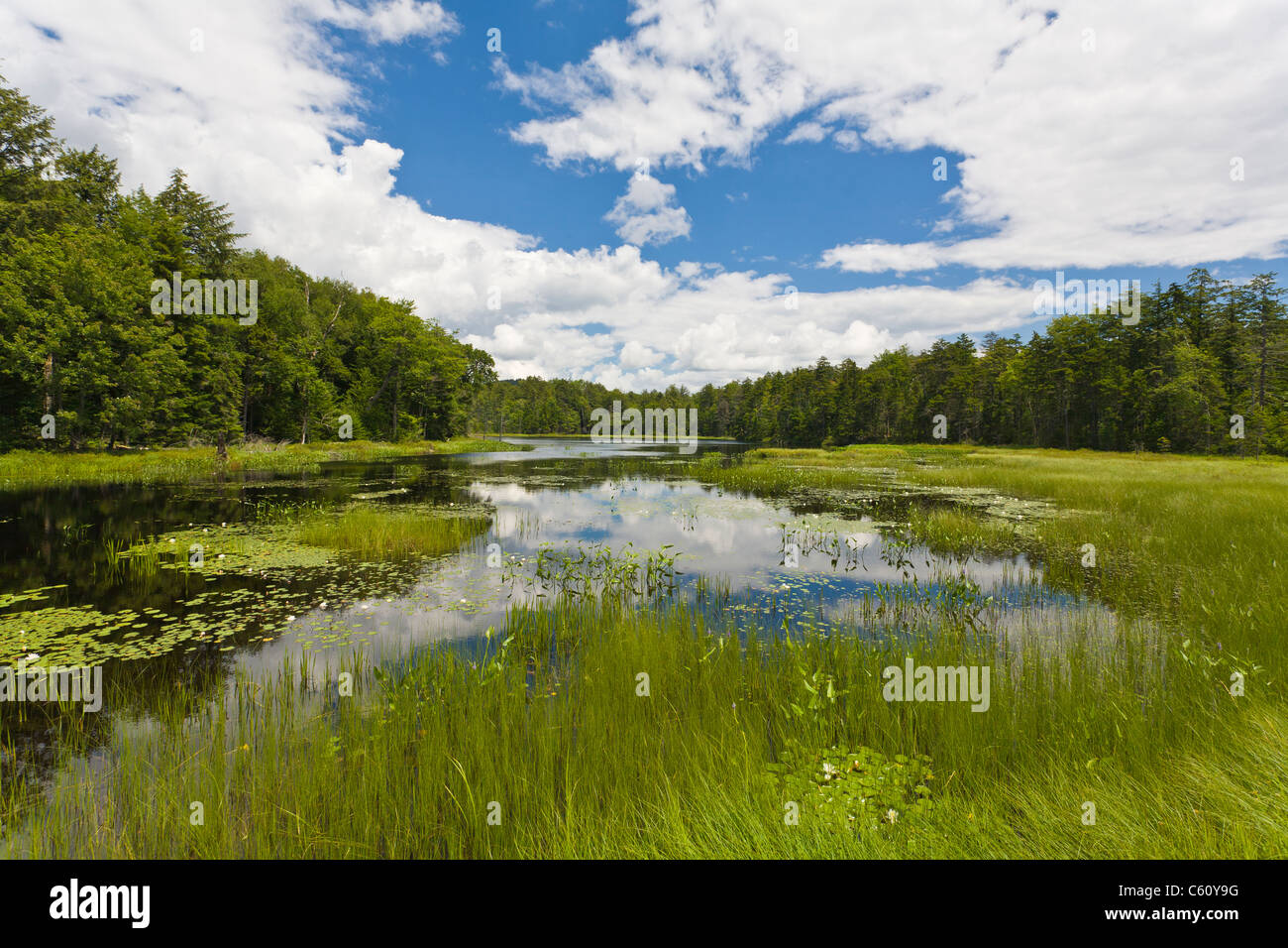 lake  pond  wetlands Adirondacks scenic landscape Stock Photo