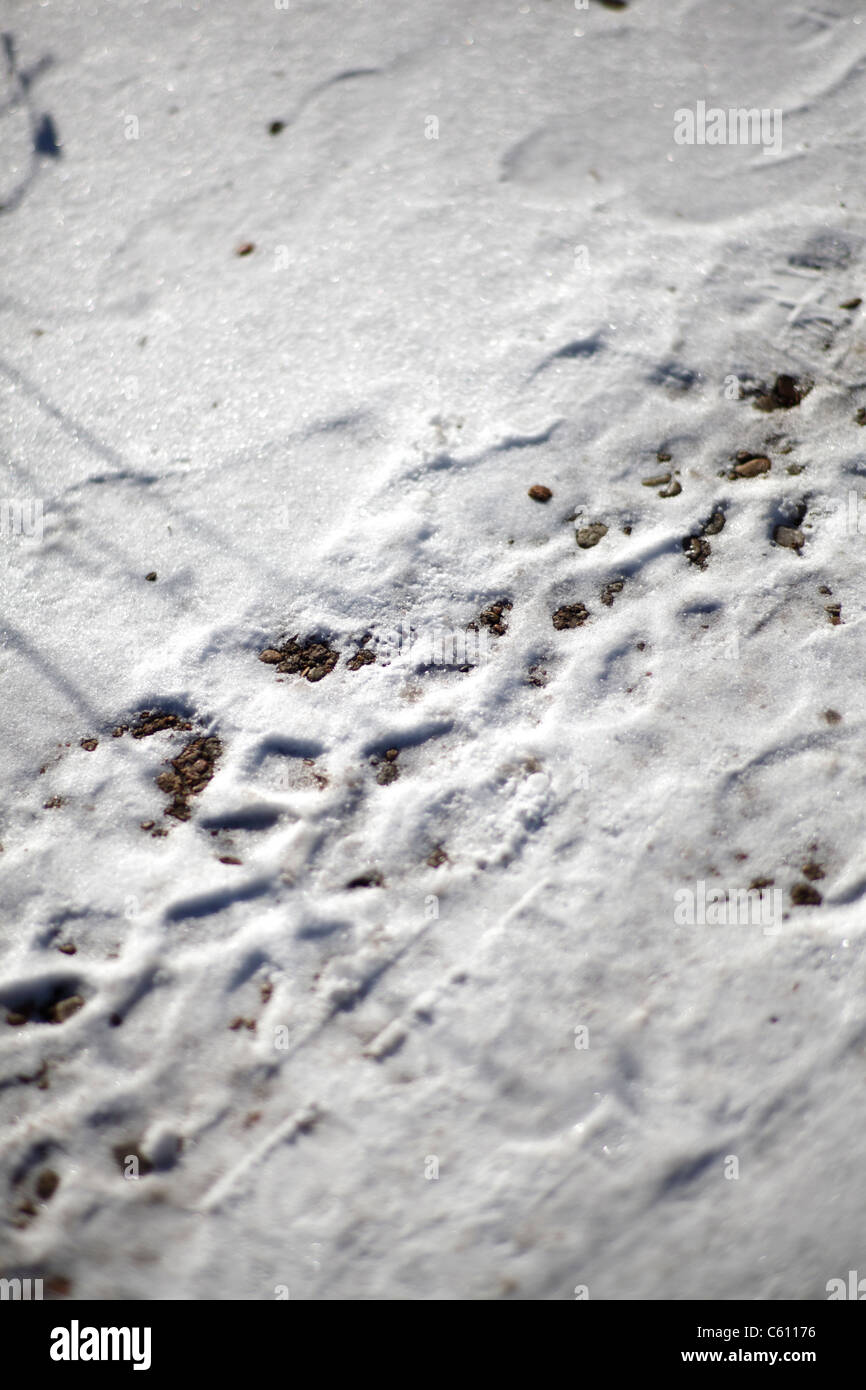 Tire tracks and footprints in a thin layer of light snow. Stock Photo