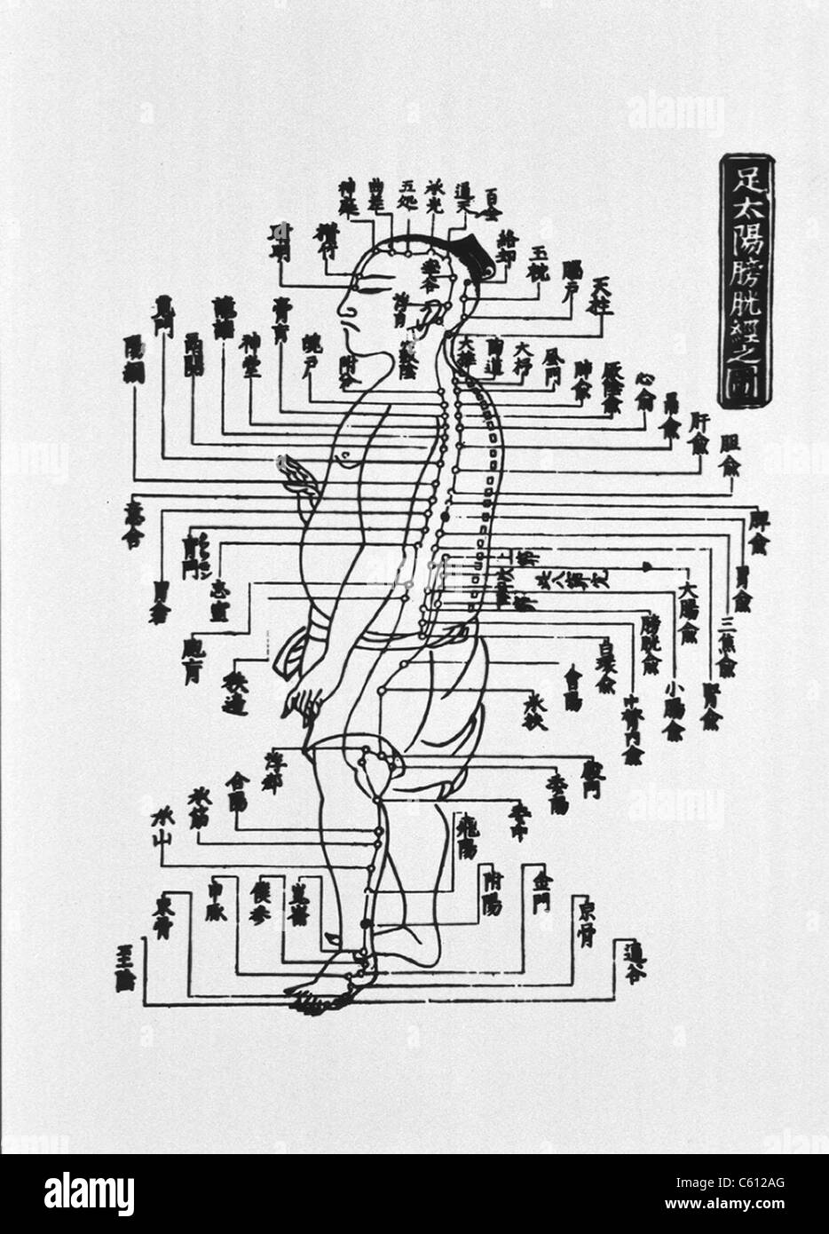 Human figure shown in left profile with acupuncture points along the entire length of the body are indicated. Illustration from early Chinese medical textbook. Stock Photo