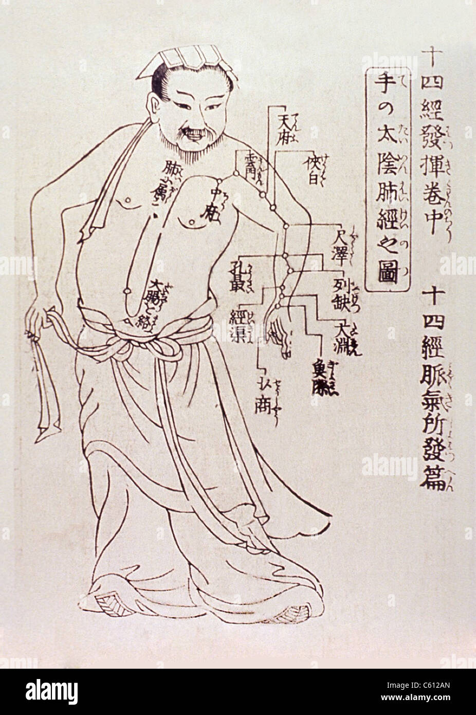 Acupuncture points on the torso and arm of the human body. Acupuncture