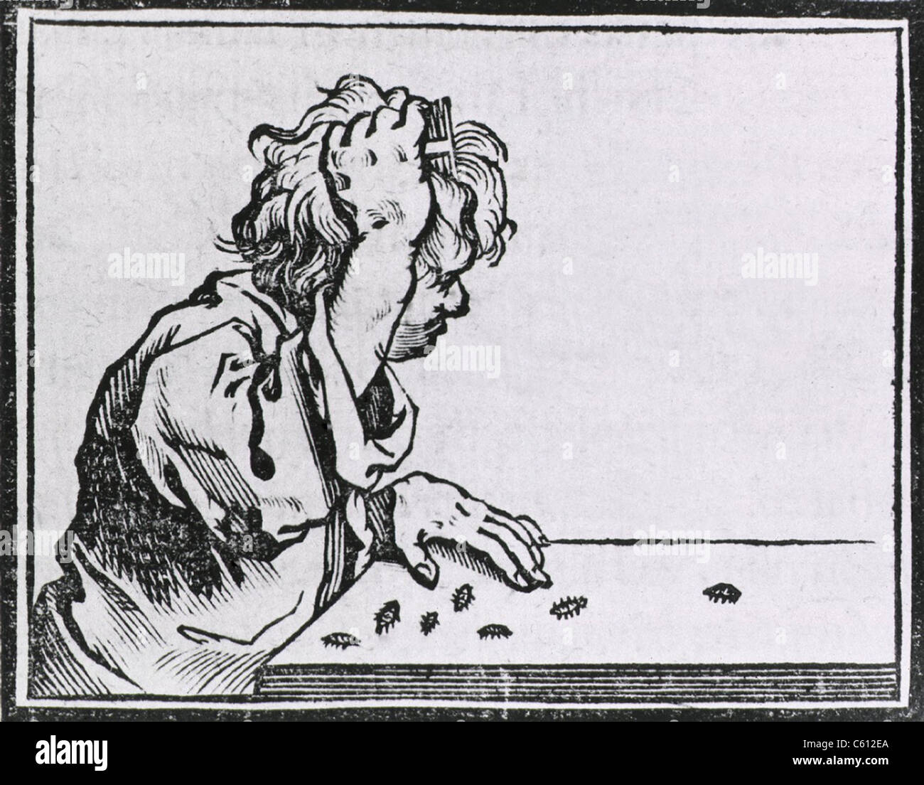 Human Hair Lice Male Youth Seated At A Table Combing The Lice