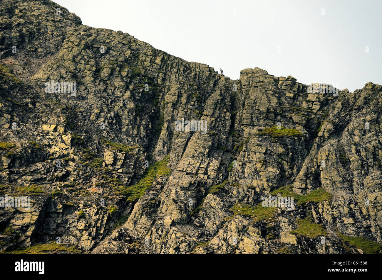 Lone fell walker traversing the arête known as Sharp Edge on Blencathra Mountain. Lake District National Park, Cumbria, England Stock Photo