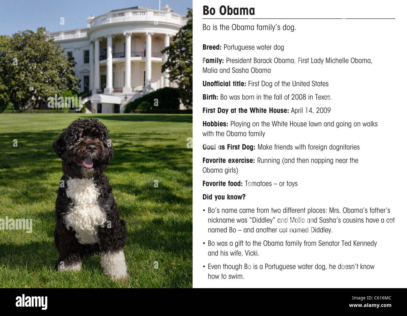 2000s portrait hires stock photography and images Alamy