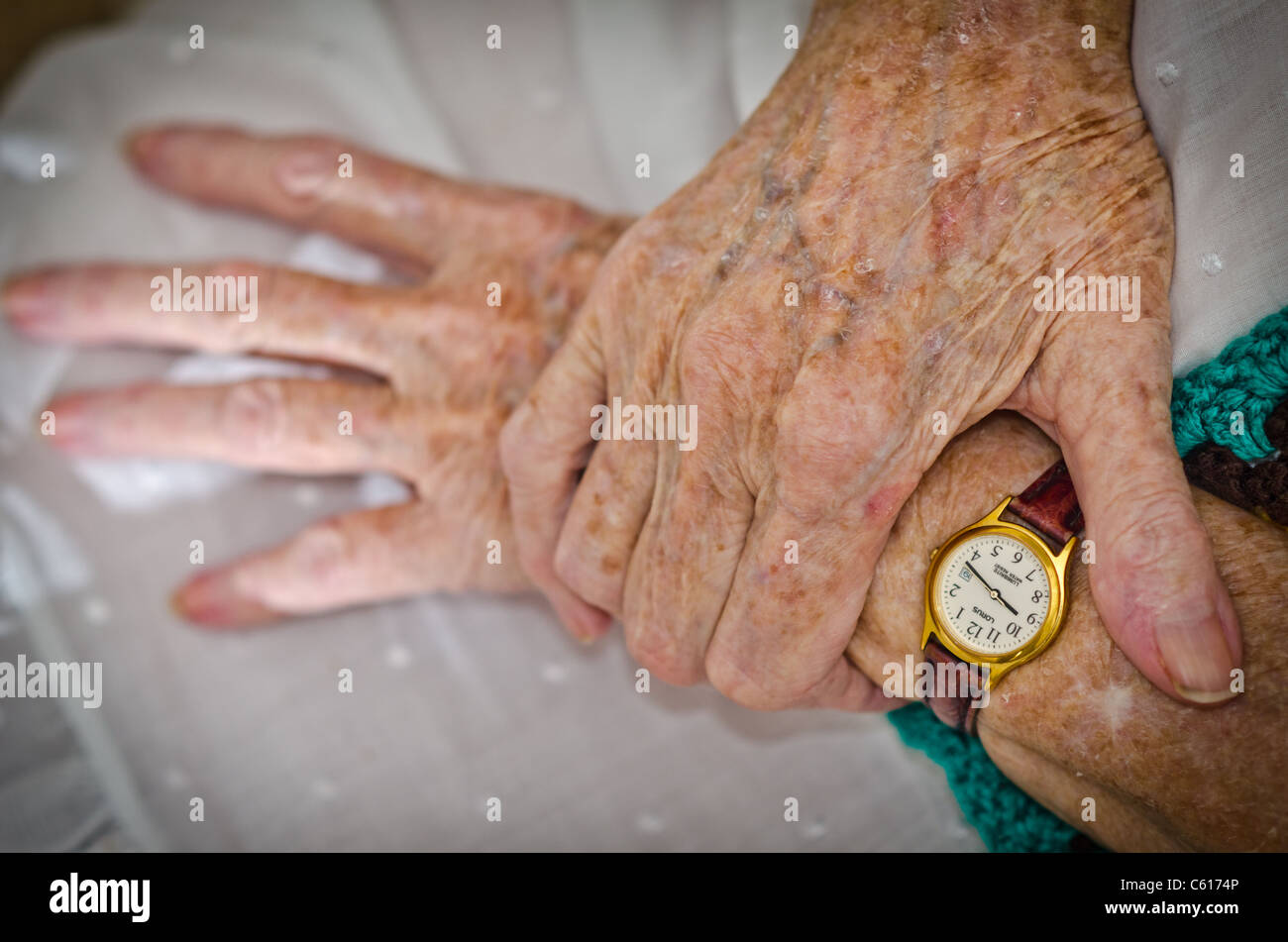 Elderly Lady (Detail) Stock Photo