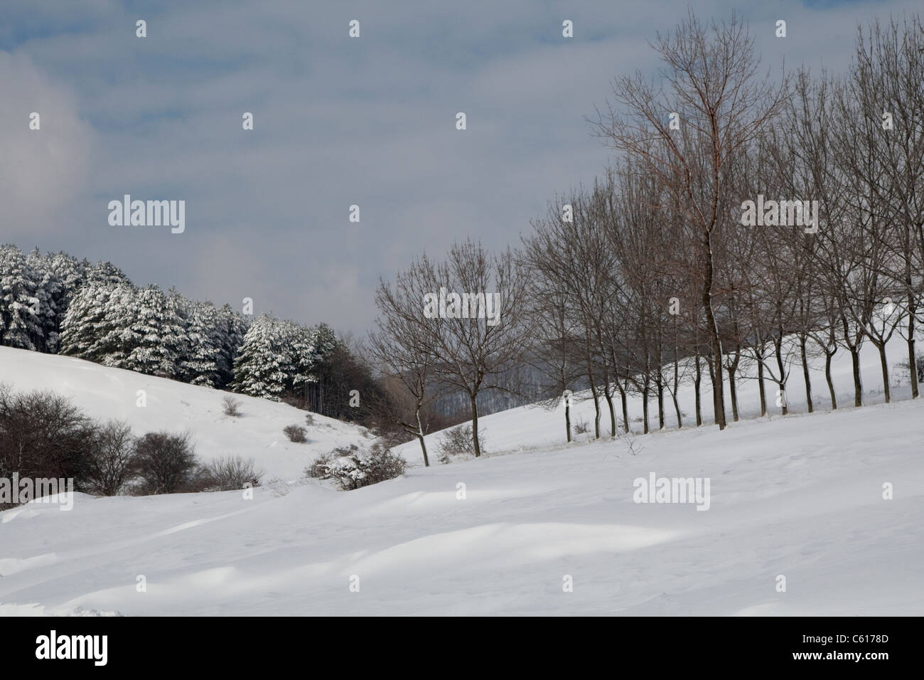 Winter landscape in Bulgaria Stock Photo