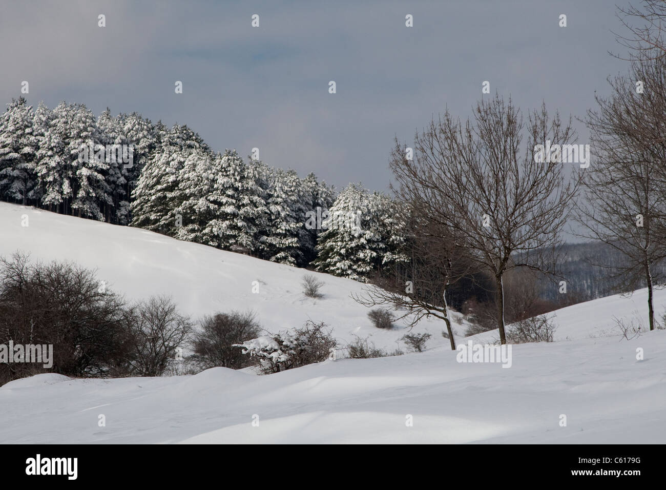Winter landscape in Bulgaria Stock Photo - Alamy