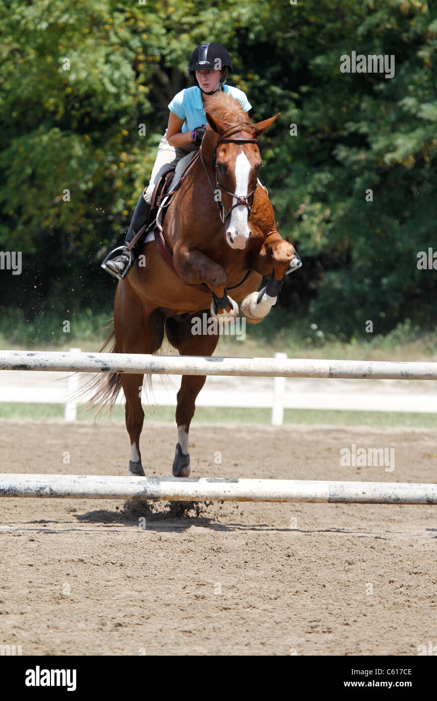 A horse and rider jumping a fence during a horse show Stock Photo - Alamy