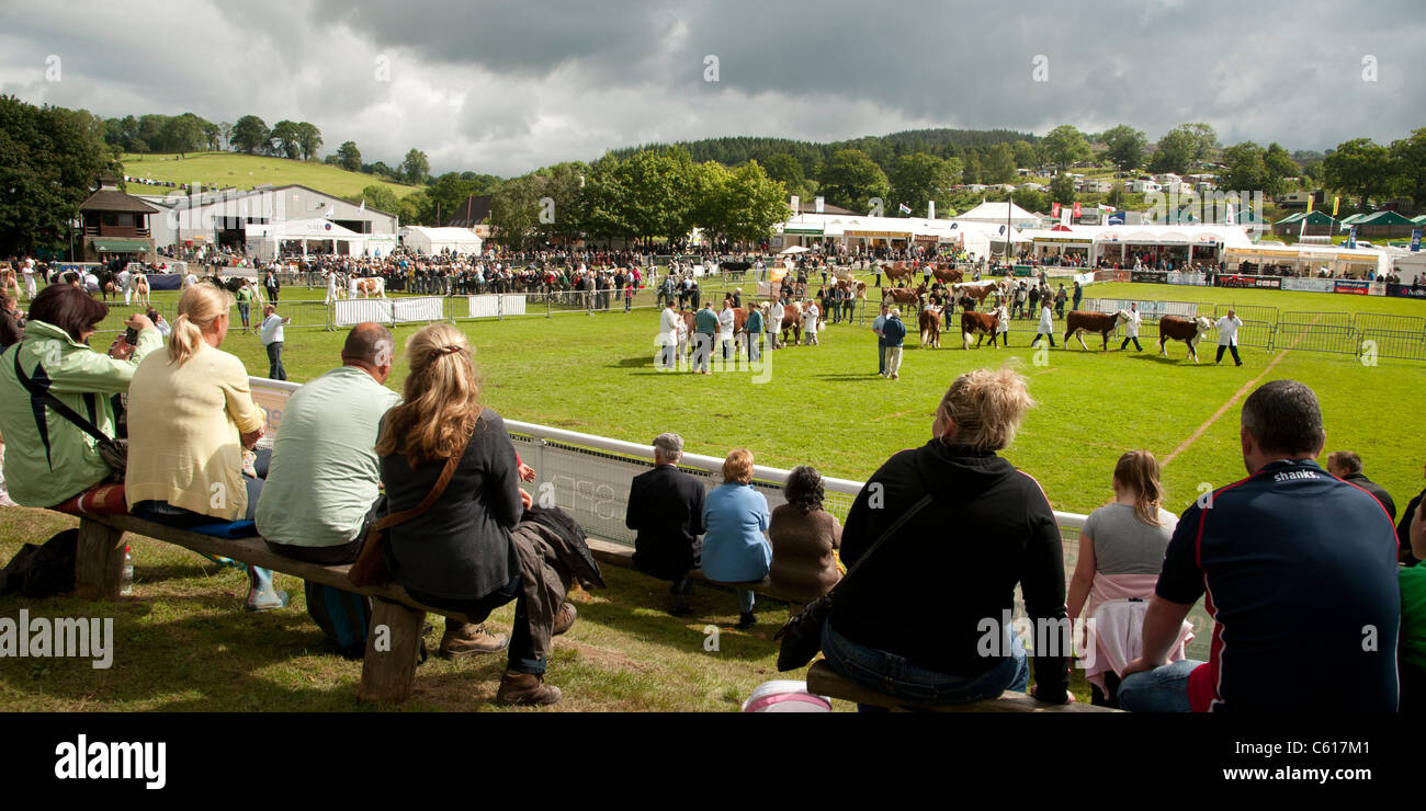 General view of people attending the Royal Welsh Agricultural Show, Builth Wells, Wales, 2011 Stock Photo