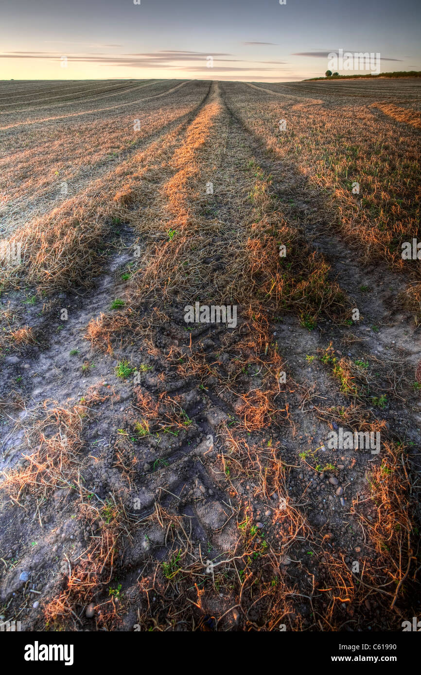 A recently plowed field, with tracks leading to the horizon. Stock Photo
