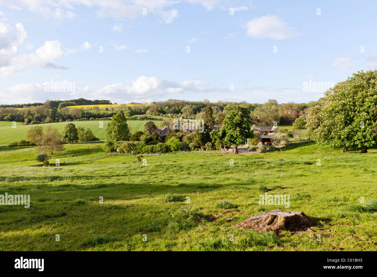 Evening sunlight falling on the Cotswold hamlet of Hampen, Gloucestershire Stock Photo