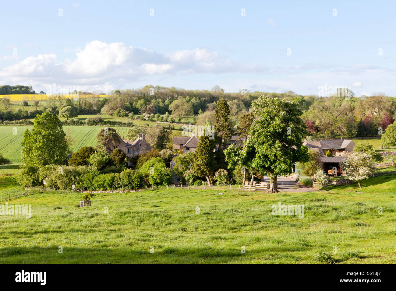 Evening sunlight falling on the Cotswold hamlet of Hampen, Gloucestershire Stock Photo